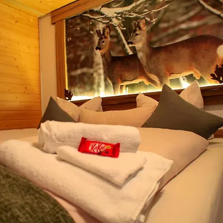 Erholsame 2 Zimmer Fewo Mit King-size-bett, Pool Und Stellplatz Apartment Baiersbronn